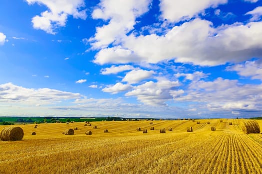 Yellow Straw Bales in a Stubble Field at end of Summer at Day with Blue Sky, Clouds after Harvest