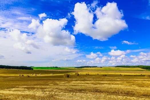 Round Straw Bales in a  Field at end of Summer at Day with Blue Sky, Clouds after Harvest
