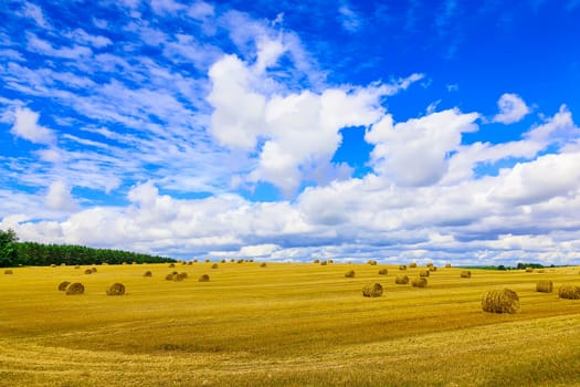 Yellow, Round Straw Bales in a  Field at end of Summer at Day with Clouds after Harvest