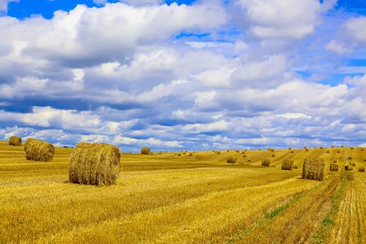 Yellow, Round Straw Bales in a  Field at end of Summer at Day with Blue Sky and Clouds after Harvest