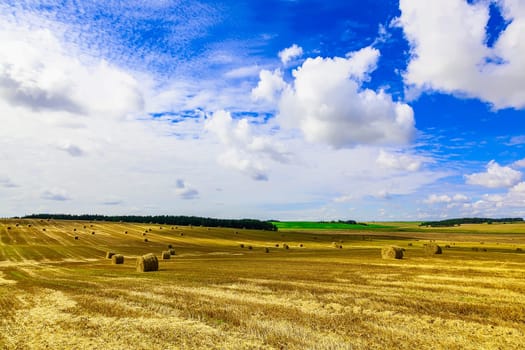 Round Straw Bales in a  Field at end of Summer at Day with Blue Sky and Clouds after Harvest