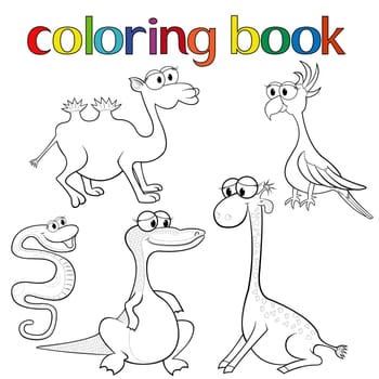 Set of animals for coloring book with giraffe, parrot, camel, boa, crocodile and camel, cartoon vector illustration
