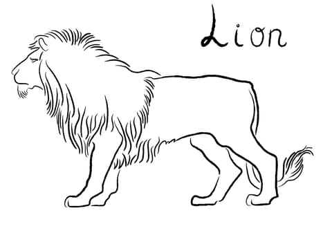 Black graceful Lion contour isolated over white. Hand drawing vector illustration