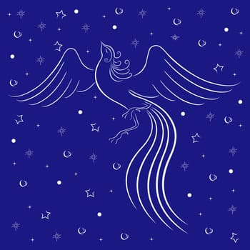 Graceful firebird white contour on blue background with many stars. Hand drawing vector illustration