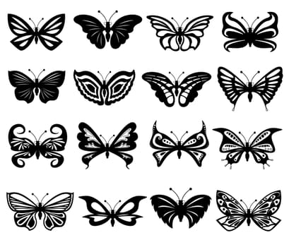 Set of sixteen different black and white beautiful butterflies. Hand drawing vector illustration