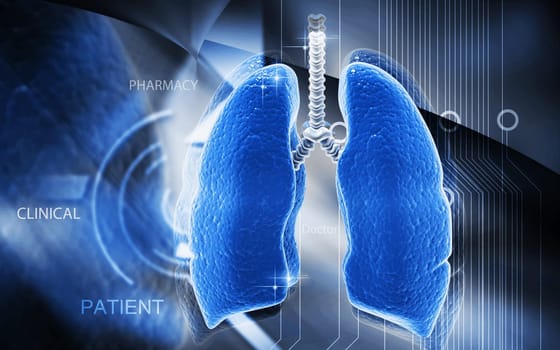Digital illustration of human lungs in colour background