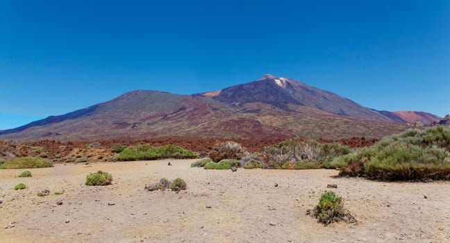 Mount Teide vulcano in National Park, Tenerife, Canary Islands, Spain (the highest point above sea level in the islands of the Atlantic)
