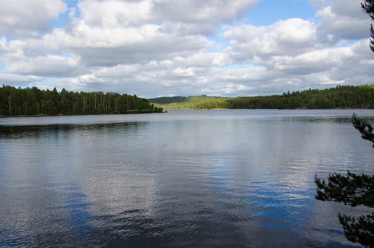 swedish lake with lot of forrest and clouds