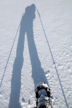 The shadow of a snowshoerunner in the snow