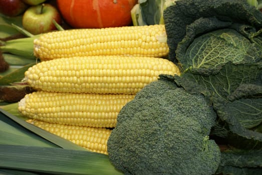Organic maize
