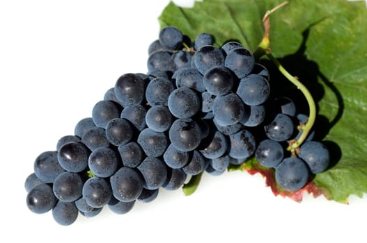 Rotwein, Rote, Weintrauben, Weintraube, Roter