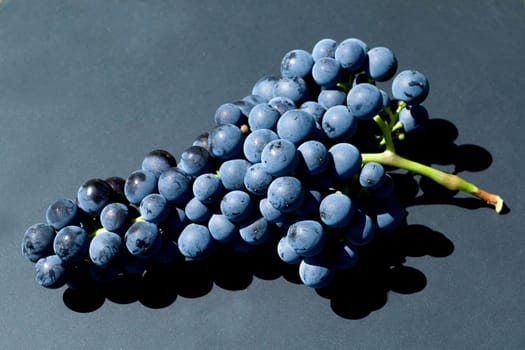 Merlot, Rotweinsorte, Merlot Noir, Bordeaux, Rotwein