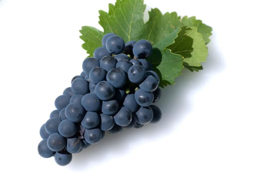 Syrah, Rotwein, Rote, Weintrauben, Weintraube