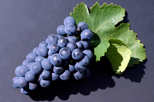 Syrah, Rotwein, Rote, Weintrauben, Weintraube