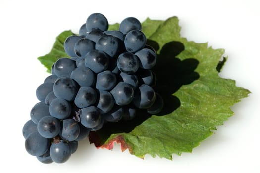 Syrah, Rotwein, Rote, Weintrauben, Weintraube