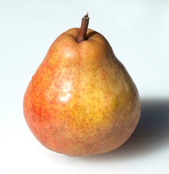Williams, Christ, Birne, Pyrus communis