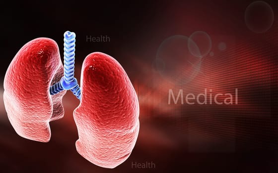 Digital illustration of human lungs in colour background