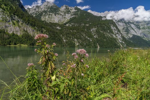Königssee