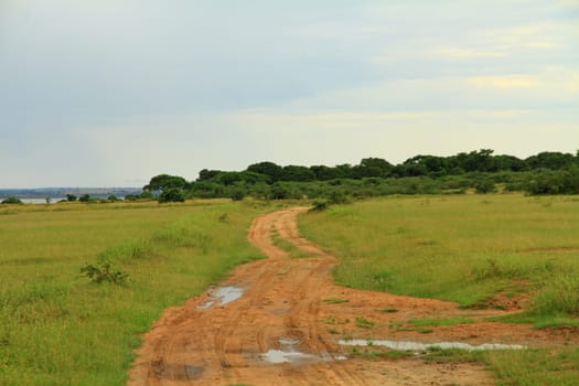 One of the dirt roads winding through Murchison Falls National Park in Uganda
