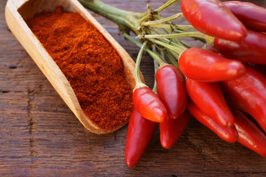 Chili peppers and chilli powder on the spice shovel