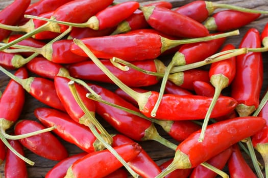 Background completely made of fresh chillies