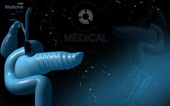 Digital illustration of pancreas in colour background