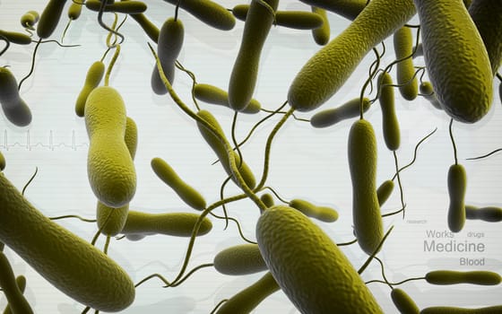Digital illustration of cholera bacteria in colour background
