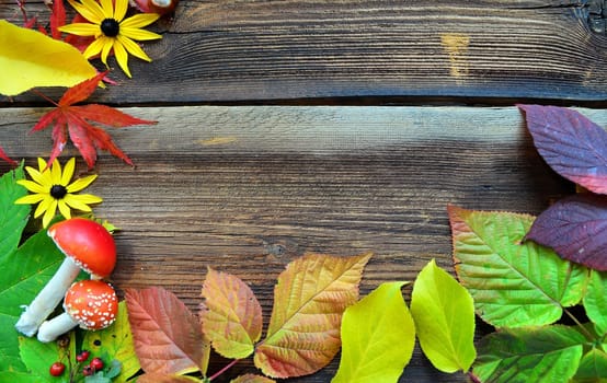 colorful autumn leaves on wood background