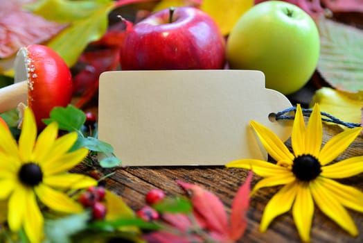 colorful autumn leaves on wood background