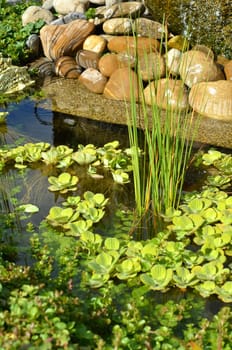 Garden pond