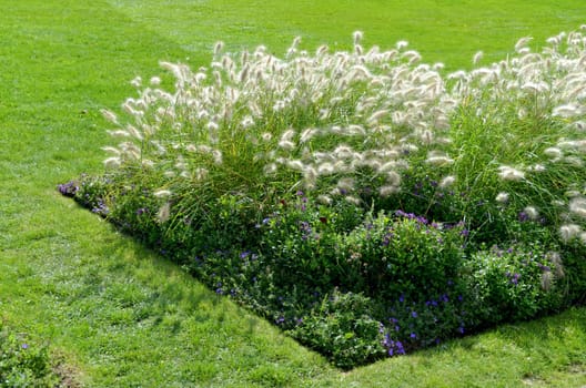 Flowerbed