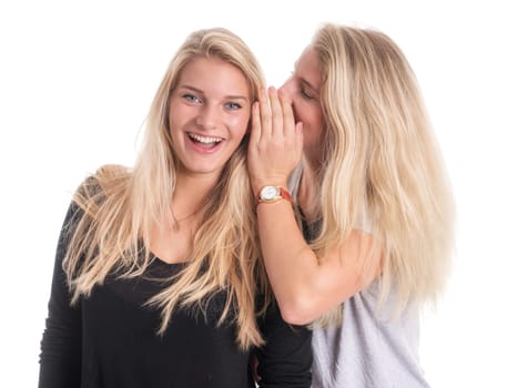 Two blonde young girls cuddle with each other