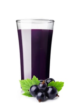 Fresh black currant smoothie in highball glass