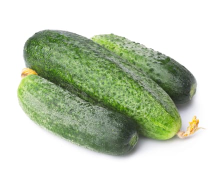 Freshly picked green cucumbers