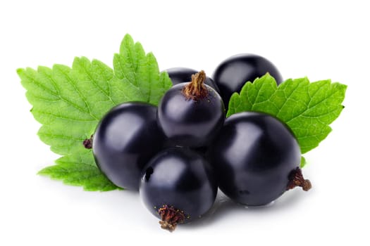 Black currants isolated on white