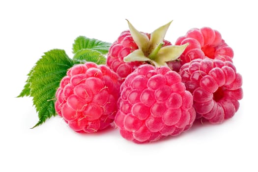 Freshly picked raspberries on white