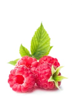 Freshly picked raspberries on white. Shallow depth of field