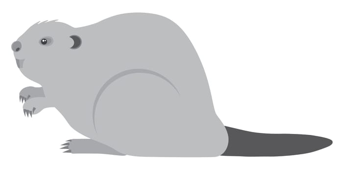 The North American Beaver Grayscale Illustration