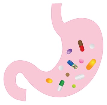Human Stomach Anatomy with Medication Vitamins Pills Drugs Capsules Color Illustration