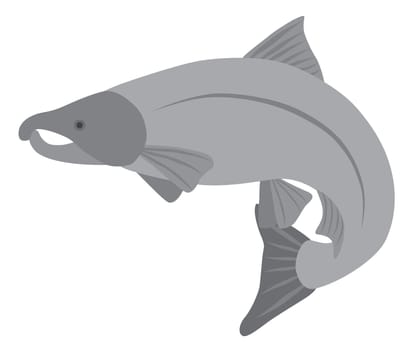 Coho Salmon Fish in Grayscale Illustration