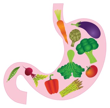 Human Stomach Anatomy with Carrot Eggplant Beet Bell Peppers Asparagus Artichoke Peas Tomato Green Vegetables Color Illustration