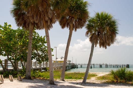 Fort de Soto Park Pier Bridge