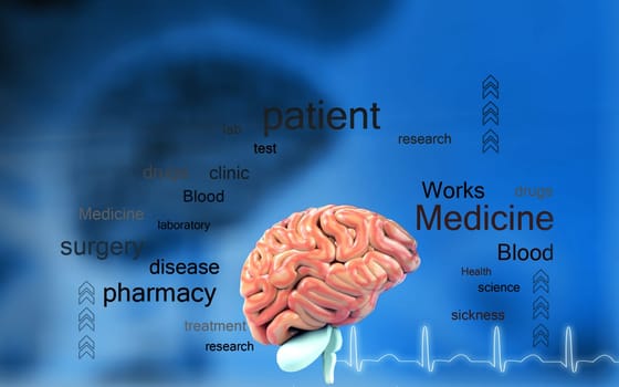 Digital illustration of brain in colour background
