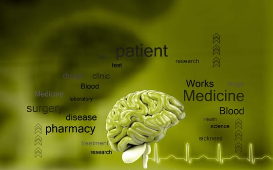 Digital illustration of brain in colour background