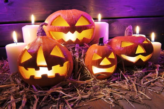 Four illuminated Halloween pumpkins with straw in front of old weathered wooden boards in candlelight and purple light