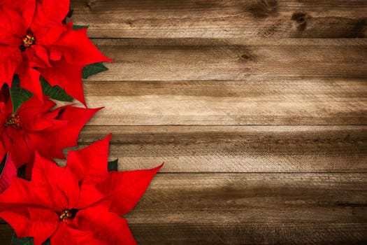 Christmas background composed of wood planks and poinsettia,with warm colors and nice vignetting