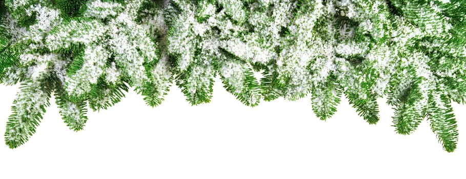 Snow covered lush fir branches as a bow-shaped border,studio isolated on pure white background