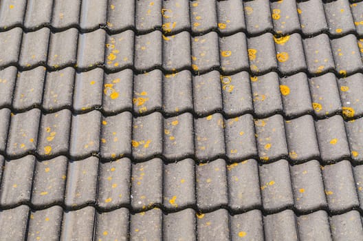 Detail some old house roof with mossy and weathered roof pans.