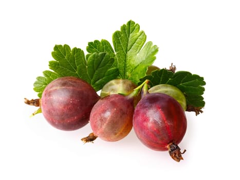 Ripe gooseberries with leaves. Studio shot,large depth of field,high detailed,retouched