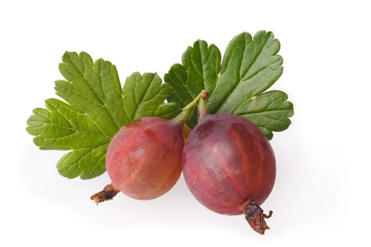 Ripe gooseberries with leaves. Studio shot,large depth of field,high detailed,retouched
